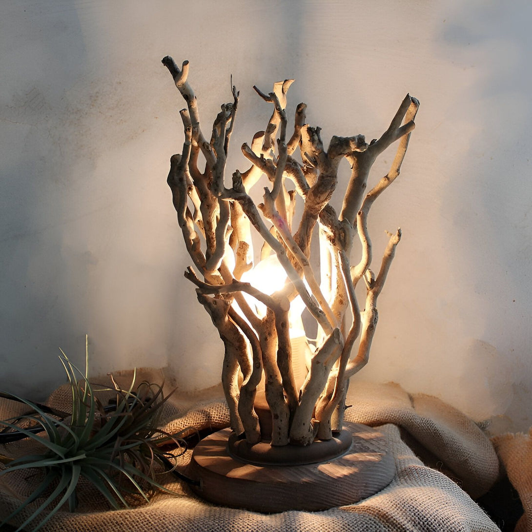 Une lampe en bois flotté avec une plante verte à côté. AR-5394209219,