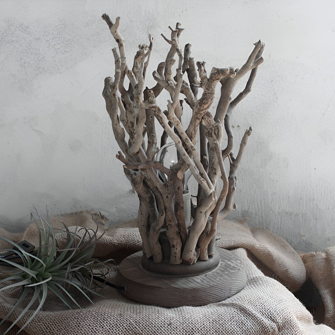 Une lampe en bois flotté avec une plante verte à côté AR-5394209219,