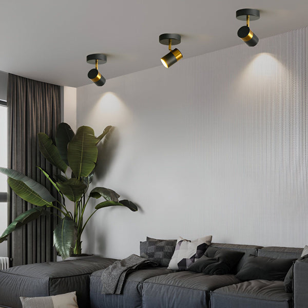 Trois spots noirs et dorés sont fixés au plafond et orientés vers le bas. Un canapé gris est placé sous les spots. A gauche du canapé se trouve une plante verte. NA-7760574924,NA-2501816684,NA-9039924805,NA-0198596146,NA-857653097X,NA-0337003505,NA-0647715457,NA-5044316865,NA-1810109892,NA-1891860658,NA-3686295571,NA-6153184057,
