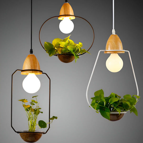 Une image de trois suspensions en bois avec des plantes vertes à l'intérieur. Les suspensions sont de différentes formes et tailles. NA-3925452753,NA-6794830825,NA-5270540967,NA-2927391858,NA-9044572768,NA-5222781577,