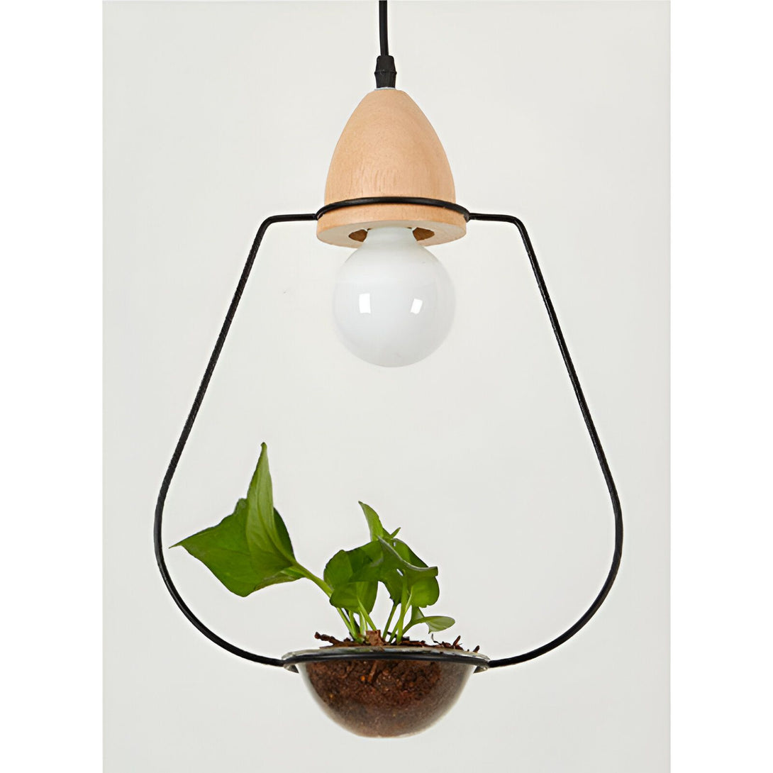 Une lampe suspendue en bois avec une plante verte à l'intérieur. NA-3925452753,NA-6794830825,NA-5270540967,NA-2927391858,NA-9044572768,NA-5222781577,