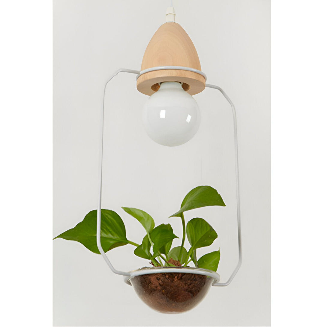 Une lampe suspendue en bois avec une plante verte qui pousse à l'intérieur. NA-3925452753,NA-6794830825,NA-5270540967,NA-2927391858,NA-9044572768,NA-5222781577,