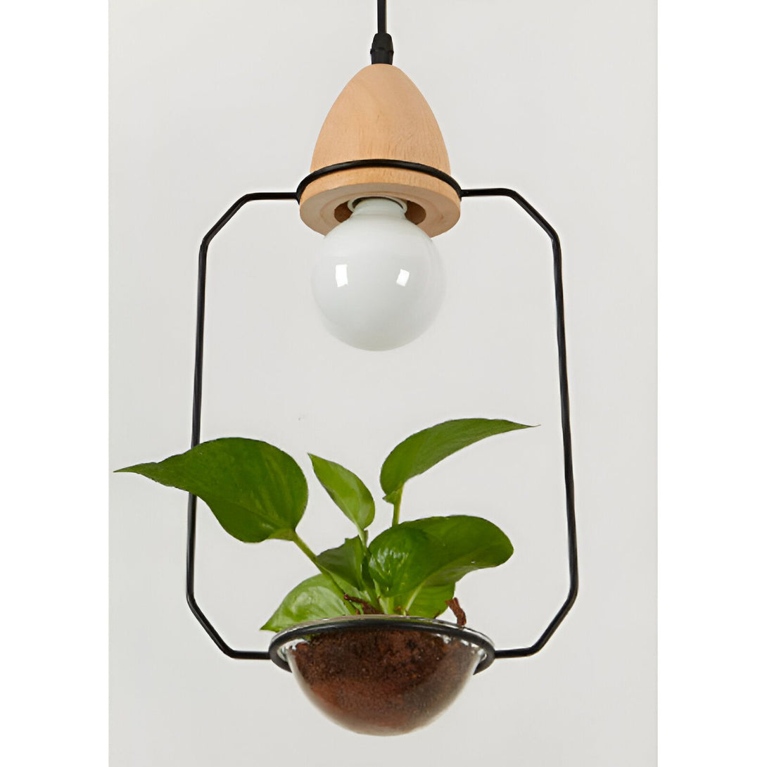 Une lampe suspendue en bois avec une plante verte à l'intérieur. NA-3925452753,NA-6794830825,NA-5270540967,NA-2927391858,NA-9044572768,NA-5222781577,