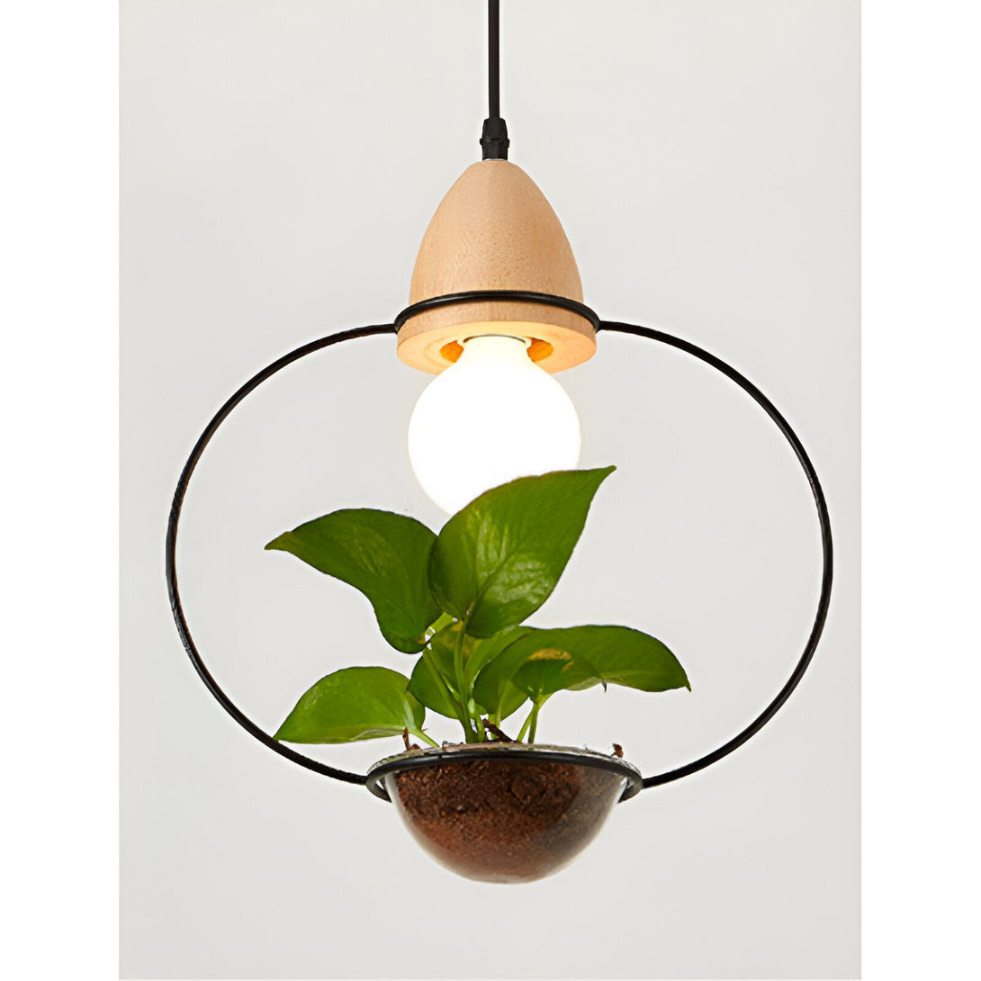 Une lampe suspendue en bois avec une plante verte à l'intérieur. NA-3925452753,NA-6794830825,NA-5270540967,NA-2927391858,NA-9044572768,NA-5222781577,