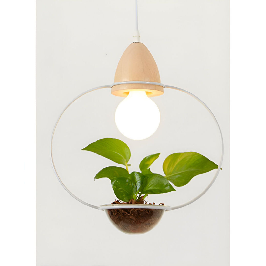 Une lampe suspendue en bois avec une plante verte à l'intérieur. NA-3925452753,NA-6794830825,NA-5270540967,NA-2927391858,NA-9044572768,NA-5222781577,