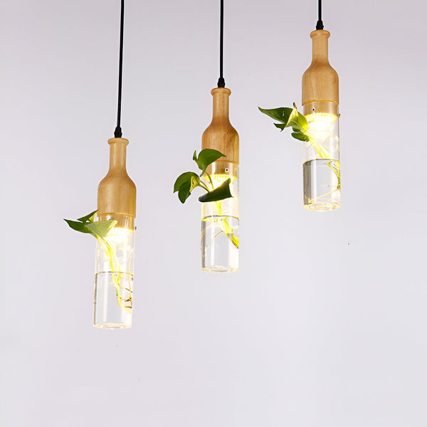 Une image de trois bouteilles en verre suspendues par des fils noirs. Les bouteilles sont remplies d'eau et de plantes vertes. PL-2740023154,PL-4657951467,PL-8551359622,